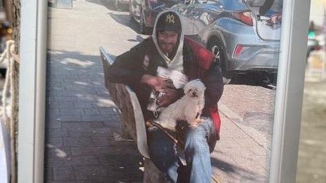 A framed photo fastened to a tree of Paul in a hoodie sat on a bench with a little white dog sat on his knee.