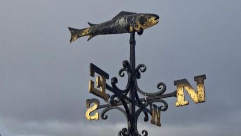Photo of a gold weather vane with the four compass point letters and above them an ornamental fish.