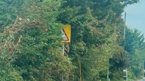 Covered warning sign with overgrown shrubs 