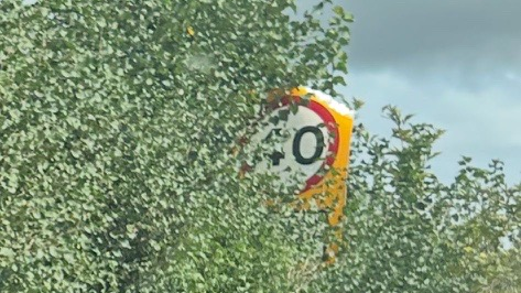 40MPH speed limit sign covered by overgrown shrubs and trees 