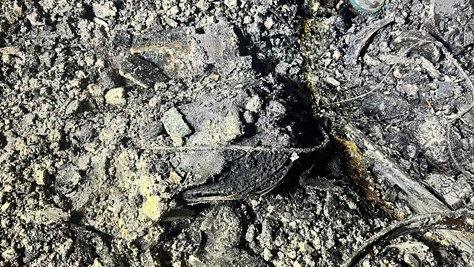 Charred and ashy remains of items that have burnt. The e-scooter is among the grey rubble, but it is unrecognisable.