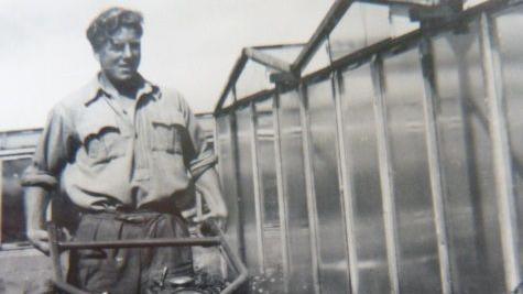 A black and white photograph of a young man in the 1950s pushing a piece of agricultural machinery past a series of greenhouses.
