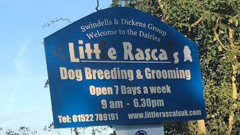 A blue sign advertising Little Rascals dog breeding and grooming. There are trees in the background.