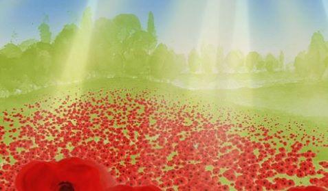 an animation image showing a field of red poppies in sunshine. trees and hills can be seen in the distance