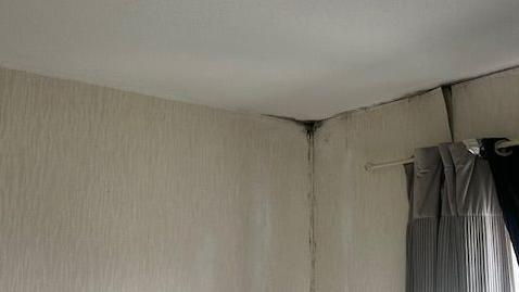 Mould on a roof inside a home