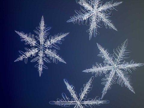 Snowflakes captured in all their beauty