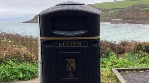 The dog poo bin partially blocking the sea view