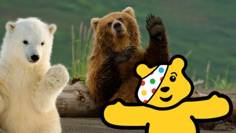 A Polar bear and Brown bear waving, with Pudsey bear in the foreground.