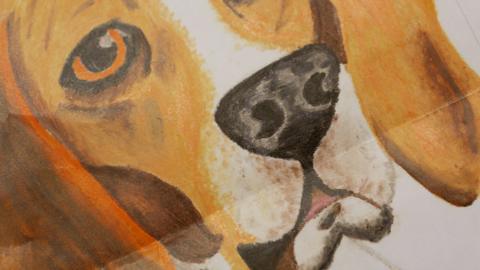 A close-up of Henry's nose and mouth, showing the detailed shading.