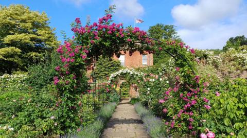 pretty-garden-path-decorated-with-plants-and-flower-arches.