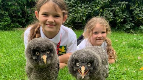 two-children-with-owls.