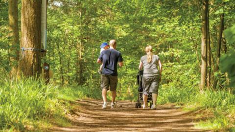 young-family-walking-along-path-through-trees-in-summer.