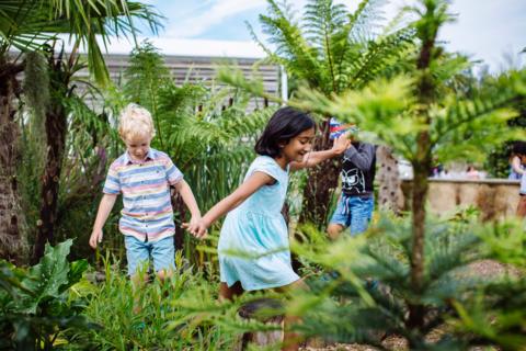 children stepping through plants as they explore a garden