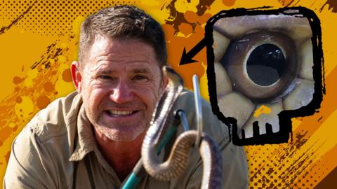 Steve is holding a snake next to a closeup of the snakes eye