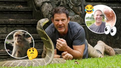 Steve lies on the floor behind a big snake with a monkey in a circle on the left and himself holding an insect on the right.