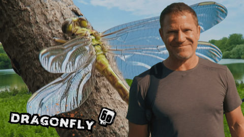 Steve smiling next to a dragonfly