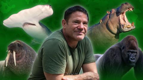 Steve is surrounded by many deadly animals