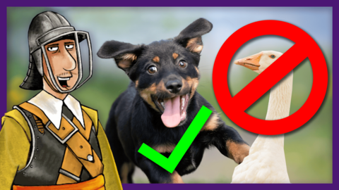 A Puritan solider stand next to a dog with a green tick and a goose with a red cross