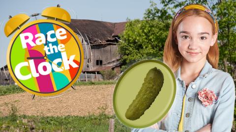 Holly Hobbie is standing in front of a Collinsville sign with a image of a pickle next to her.