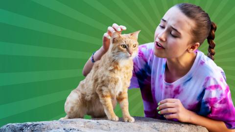 Lucy is petting an orange cat