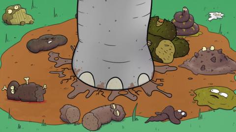 An elephant foot splatting a pile of poo