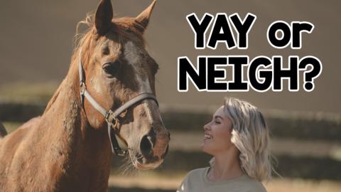 Issie a girl from Mystic is looking at a brown horse named Blaze. Text reads 'yay or neigh?'.