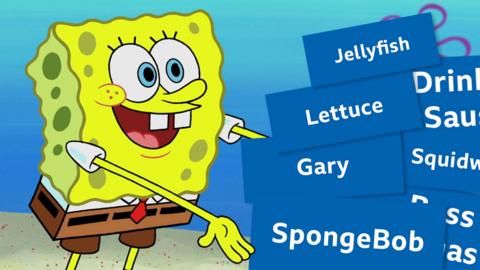 SpongeBob is gesturing at lots of words