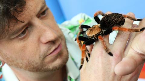 Scott and his Tarantula