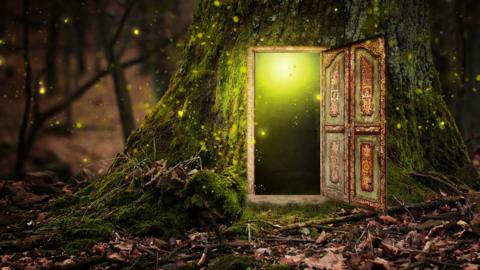 A secret door, hidden in a tree.