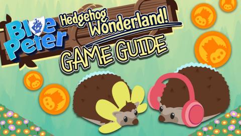 bp-hedgehog-wonderland-guide-title