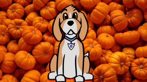 An illustrated Henry the dog in front of some pumpkins