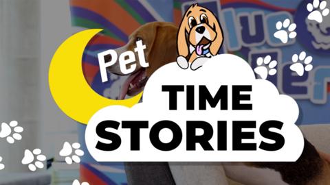 Pet Time Stories/ Rebel Dogs.