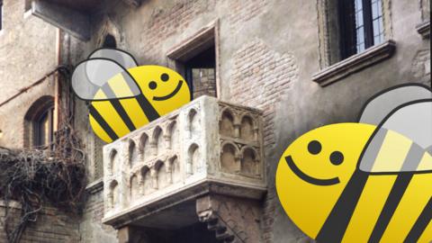 Two bees at Juliet's balcony