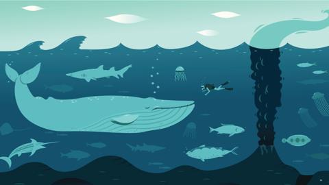 Blue Illustration of sea creatures under the water.