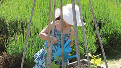 A young girl watering plants with a watering can.