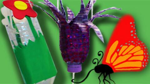 Two butterfly feeders with a butterfly