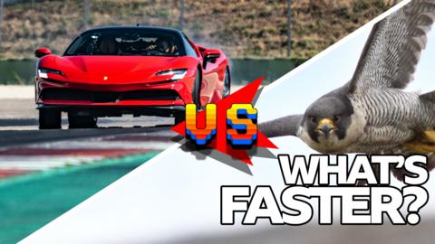 Car vs Falcon