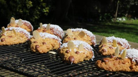 Mice-shaped oats biscuits.