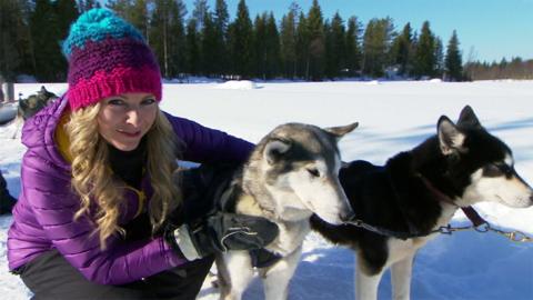 Naomi and husky dogs