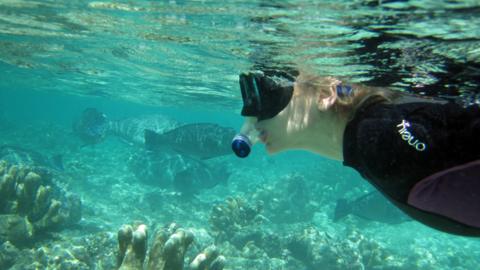 Naomi snorkelling