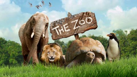 A group of zoo animals standing together in front of a sigh that reads 'The Zoo'.