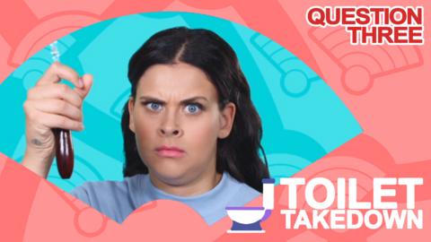 Toilet Takedown Question 3.