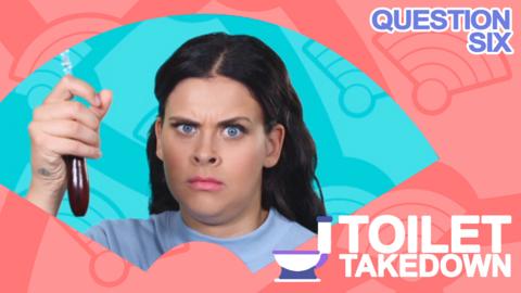 Woman holding toilet flush.