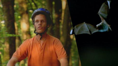 A man on a bike and a bat.