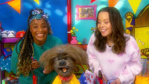 Joanna and Evie sing a song to Dodge to help him go to bed.