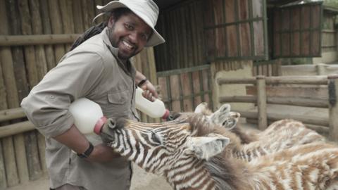 Hamza feeds two baby zebras whilst smiling at the camera.