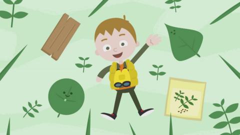 Freddie's Shapes Song