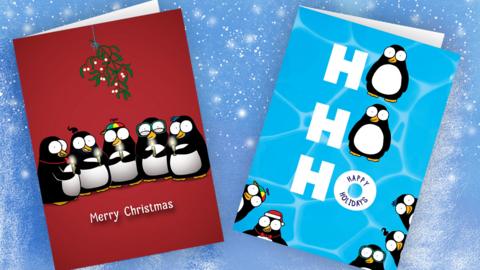 Image of two Piripenguins Christmas cards against a frosty blue background