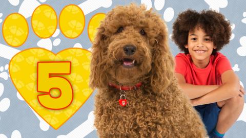 Waffle and Doug are looking into camera, Waffle's paw with the Number 5 is besides them.