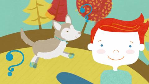 A dog wearing shoes and a boy.
